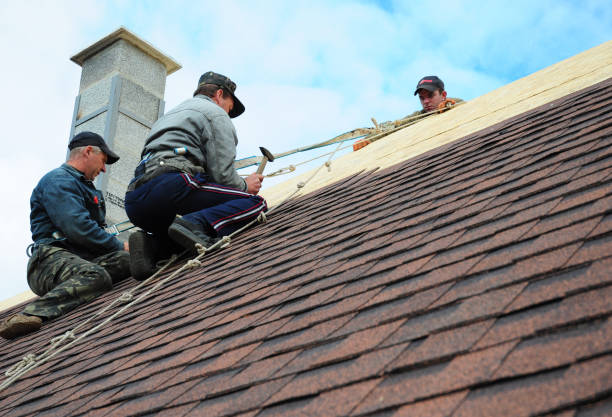 Roof Waterproofing Services in Sparta, IL