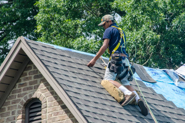 Best Best Roofing Contractors  in Sparta, IL